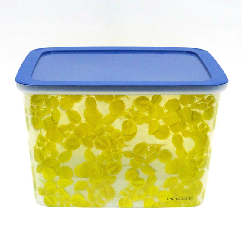 การฉีดขึ้นรูปกล่องเรียงลำดับในฉลากแม่พิมพ์